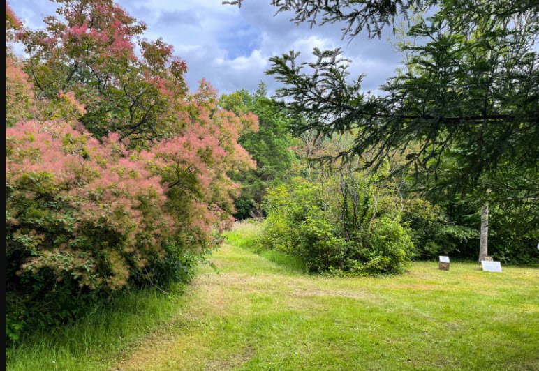 Arboretum de La Roche-Guyon, La Roche-Guyon, France, France